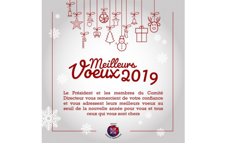 Voeux 2019